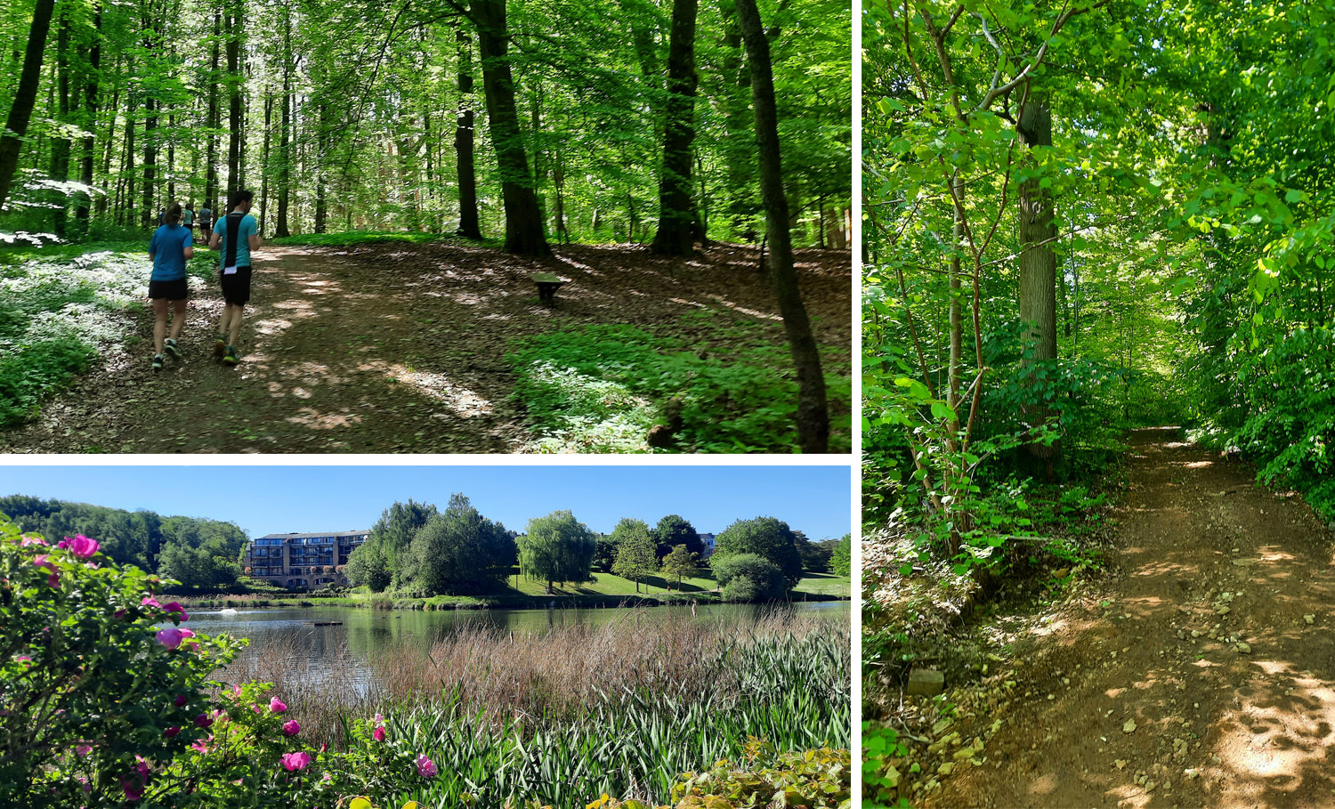 20250614 Parcours1